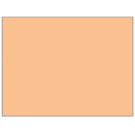 MIKROFIBRA ŁOSOŚ  SZER. 160 CM